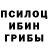 Галлюциногенные грибы Psilocybe mimi6
