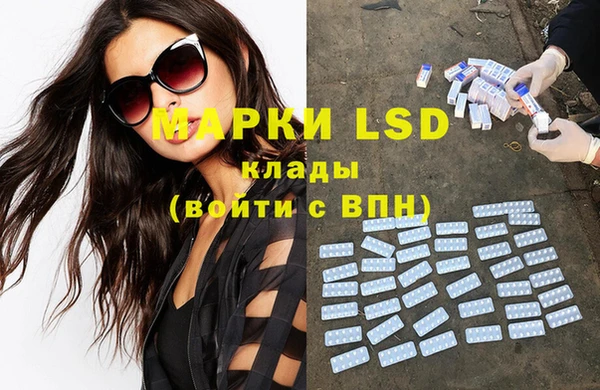 a pvp Новозыбков