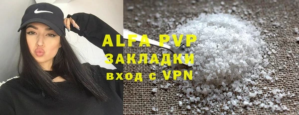 a pvp Новозыбков