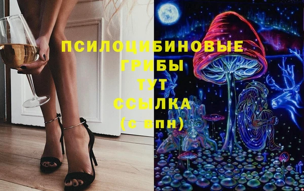 ALPHA PVP Новодвинск