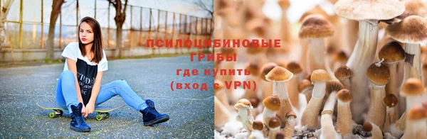 MDMA Новокубанск