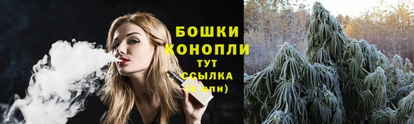 a pvp Новозыбков