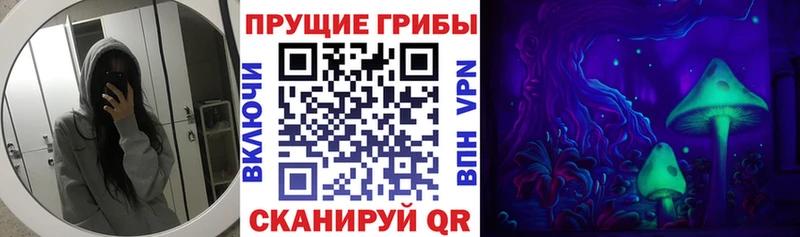 Купить закладки  Радужный  Псилоцибиновые грибы Magic Shrooms 